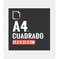 Flyers Cuadrado A4