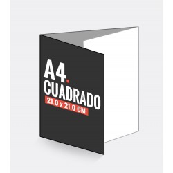 Tripticos Cuadrados A4