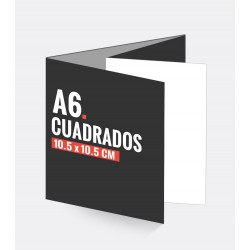 Cuadripticos Cuadrados A6