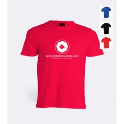 Camiseta Poliester colores C-3004