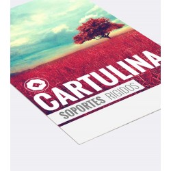 Cartulina - Carton