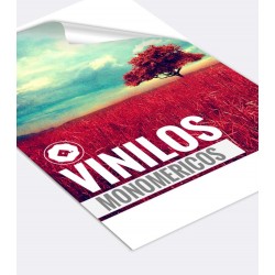 Vinilo adhesivo monomerico