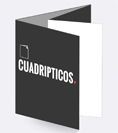 Cuadriptico