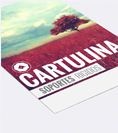 Cartulina